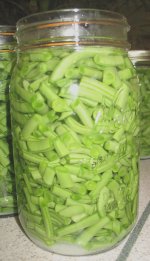 How much headspace to you leave when canning green beans