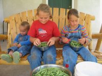 Canning Green Beans - Children Snipping Green Beans