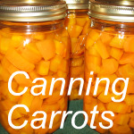 Canning Carrots