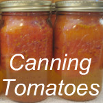 canning tomatoes link