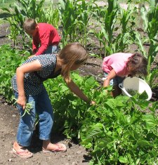 Money Saving Ideas - Grow a Garden - Children Picking Green Beans