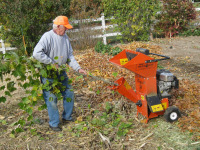 Chipping branches for garden