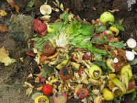 Composting kitchen scraps on garden