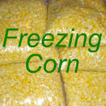 How to Freeze Corn Link