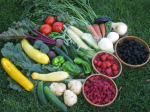 Garden Fruti and Vegetable Mix