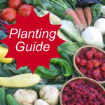 Vegetable Planting Guide Link