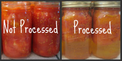 Process versus not processed tomatoes