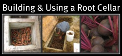 Building and Using a Root Cellar