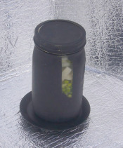 Black pained solar jar with soup in it
