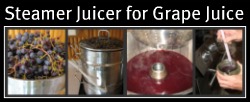 Using Steamer Juicer for Grape Juice