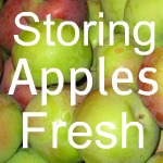 Storing Fresh Apples