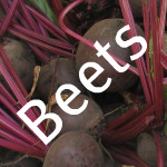 Storing Fresh Beets