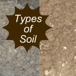 Types of Soil Link
