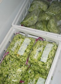 putting zucchini in freezer