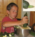 Shredding zucchini with V-Slicer