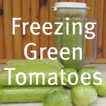 Preserving Green Tomatoes - Freeze Tomatoes
