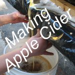 Making Apple Cider