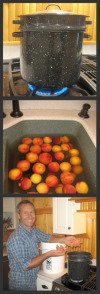 How to blanch peaches or tomatoes 1