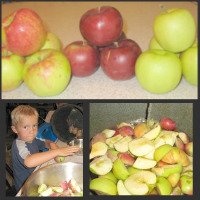 Preparing your apples for applesauce