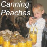 Canning Peaches Link