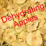 Dehydrating Apples