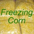 Freezing Corn