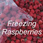 Freezing Raspberries