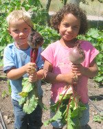 Children Holding Fresh Beets in Garden