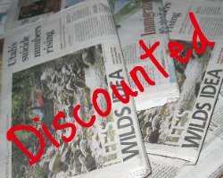Discounted Newspaper