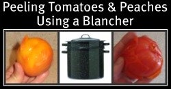 Peeling Peaches and Tomatoes Using a Blanch