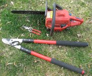 Tools for Pruning Peach Trees