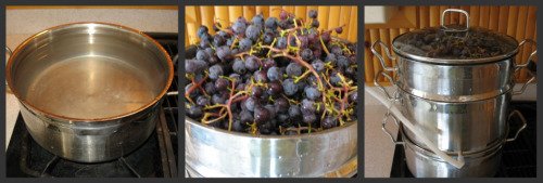 Loading Steamer Juicer with Grapes