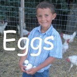 Recipes Using Eggs Link
