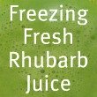 Freezing Rhubarb Juice