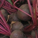 Beets in Root Cellar 