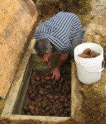 Getting Potatoes from the Root Cellar
