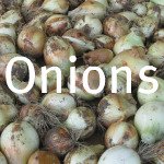 Storing Fresh Onions
