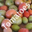 Storing Fresh Tomatoes