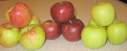 Grow a Variety of Apples