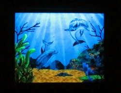Glow in the Dark Dolphin Painting